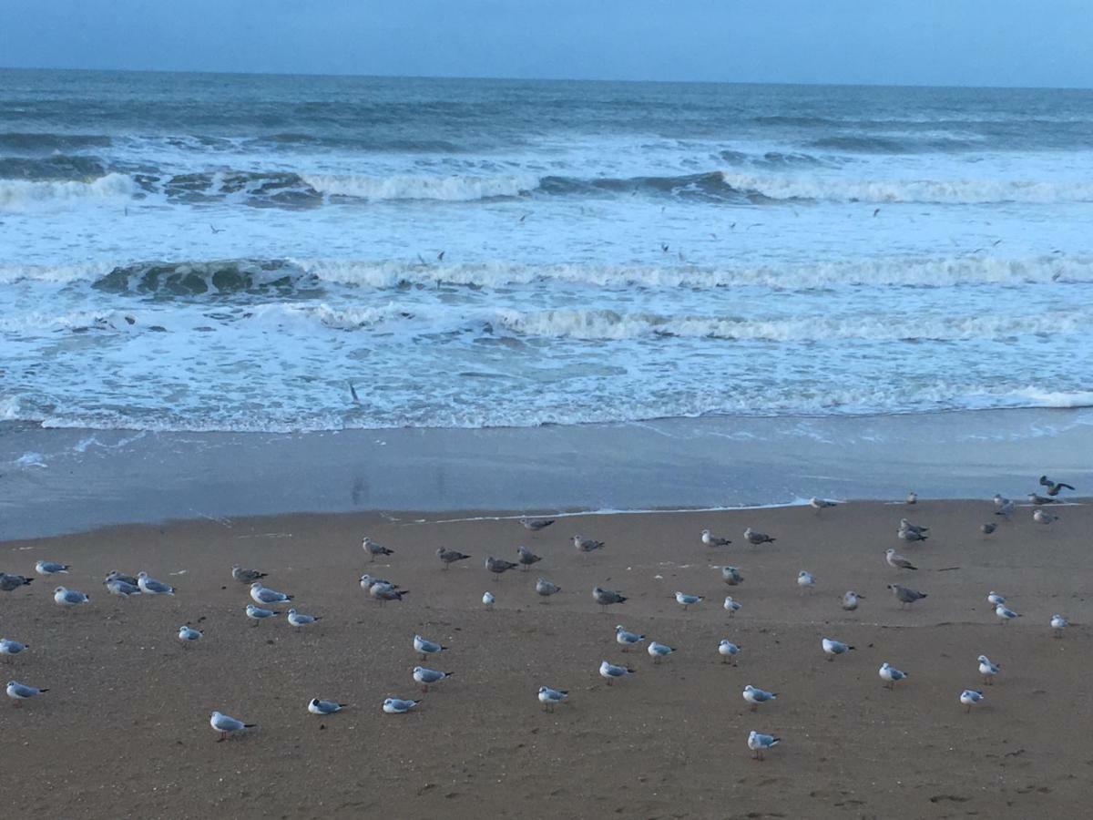 La Cornaline 1 Βίλα Cabourg Εξωτερικό φωτογραφία